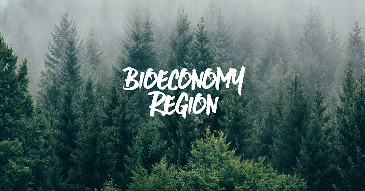 Logo Bioeconomy region in scandinavia