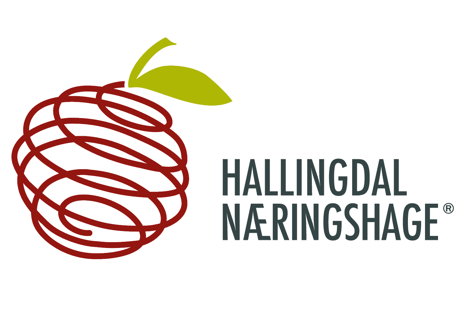 Logo Hallingdal næringshage
