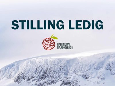 Ledig stilling Hallingdal Næringshage