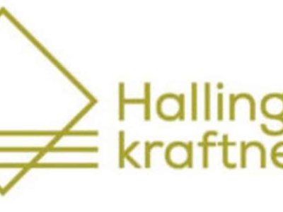 logo Hallingdal Kraftnett
