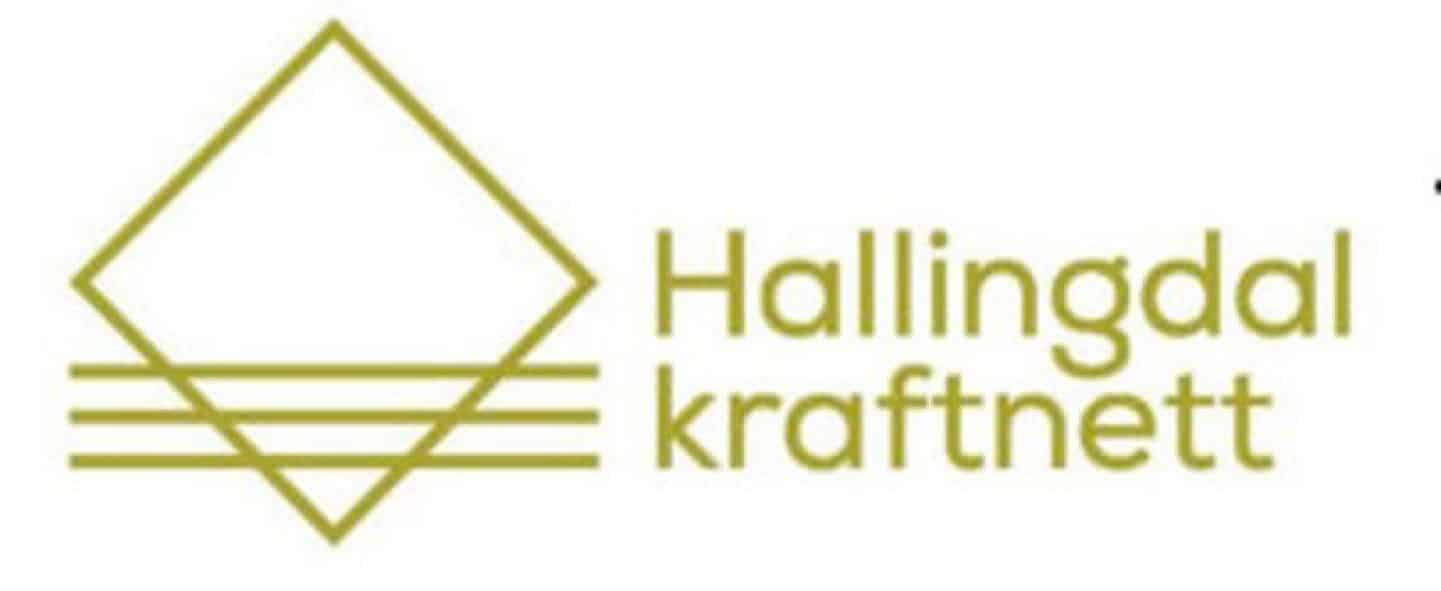 logo Hallingdal Kraftnett