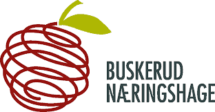 logo buskerud næringshage