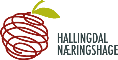 hallingdal-naeringshage-logo-nyhetsbrev
