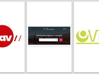 logo nav jobbihallingdal vinn
